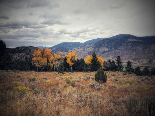 Fall near Yellowstone